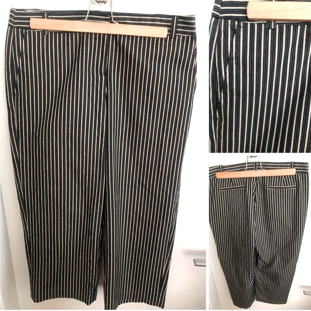 20/$20 PANTOLOGY 10 Navy & white Capri